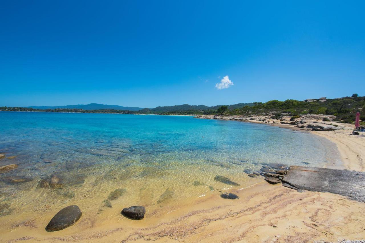 Nereus & Oceanus Beachfront Apartments, Lagonisi Beach #Feelslikehome 오르모스 파나기아스 외부 사진