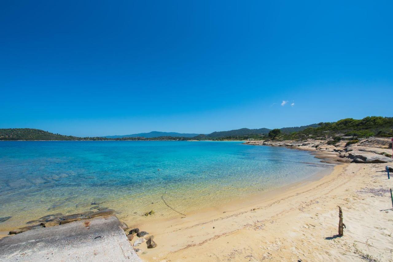 Nereus & Oceanus Beachfront Apartments, Lagonisi Beach #Feelslikehome 오르모스 파나기아스 외부 사진